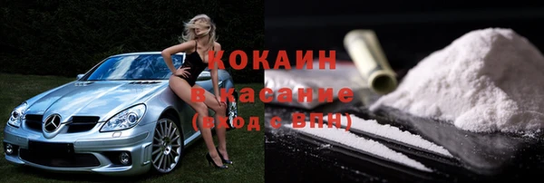 крисы Алзамай