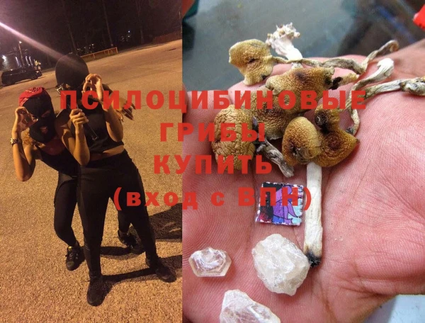 прущий лед Алексин
