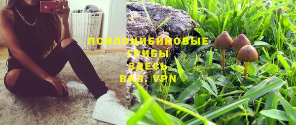 прущий лед Алексин