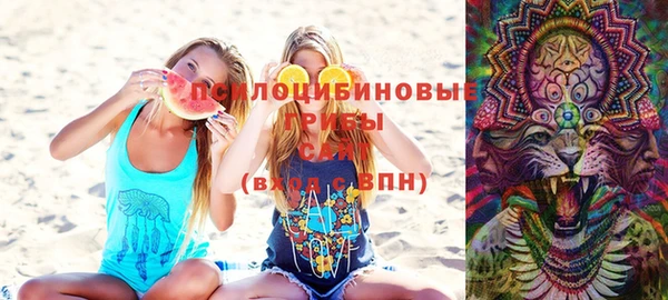 винт Алексеевка