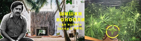 крисы Алзамай